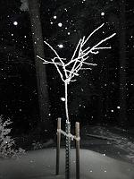  25. Dezember 2010 - Weihnachten bei Samuels Ginkgo